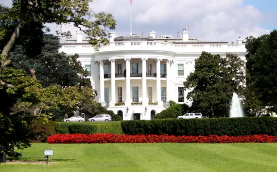 Report to the President on Protecting Children from Surgical and Chemical Mutilation Executive Summary