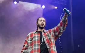 Post Malone Falls Off Stage During Concert While Toasting Fan