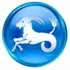 Capricorn — 3rd decan