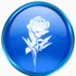 Peony