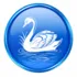 Swan