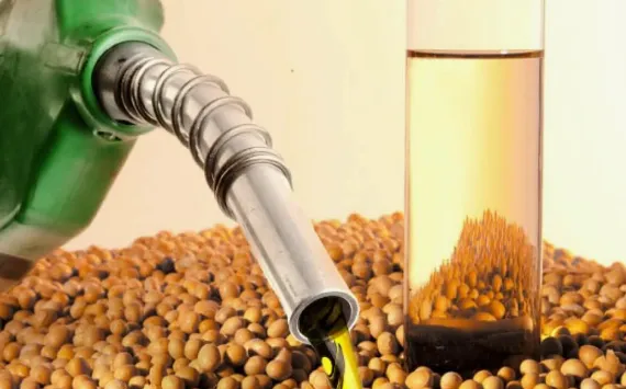 Biodiesel Day