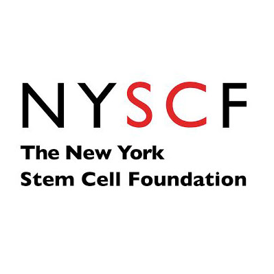The New York Stem Cell Foundation (NYSCF)