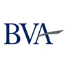 Bay Valuation Advisors (BVA)