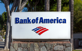 Bank of America Introduces Framework to Support Future ESG-Themed Issuances