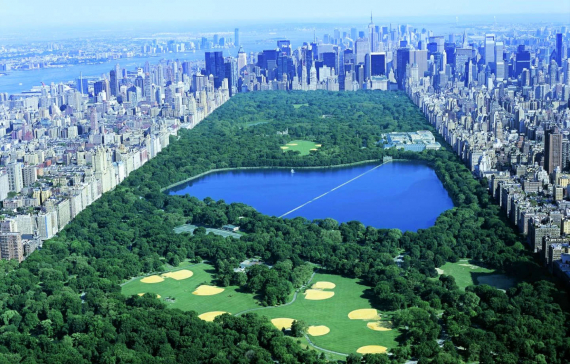 The Central Park Conservancy Institute for Urban Parks Announces the 2021 Partnerships Lab