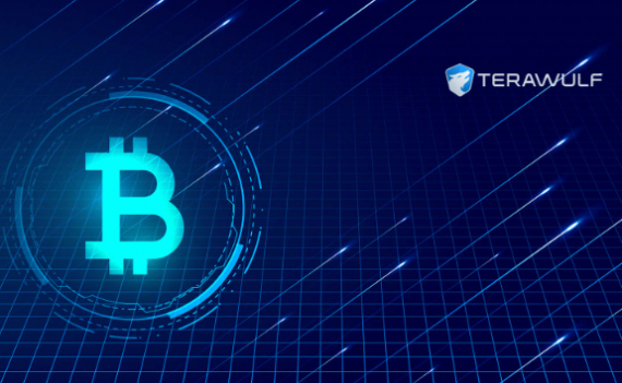 TeraWulf Announces Full Deployment of 50 MW at the Nautilus Bitcoin Mining Facility Ahead of Schedule