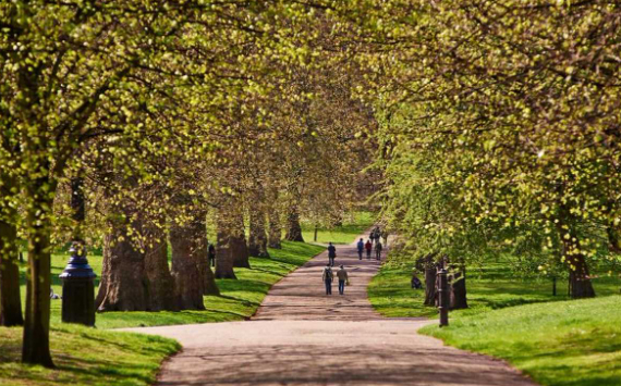 Walk to a Park Day