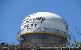Disney shares up: Disney+ parks and subscription revenue above estimates