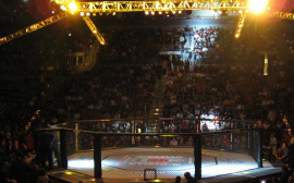 UFC Lawsuit Unveils McGregor, Rousey, and Jones Salaries