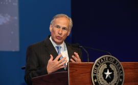 Texas Governor and Border Patrol Council Criticize VP Harris: 'Abject Failure'