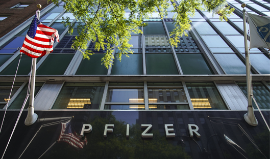 Pfizer talked about income