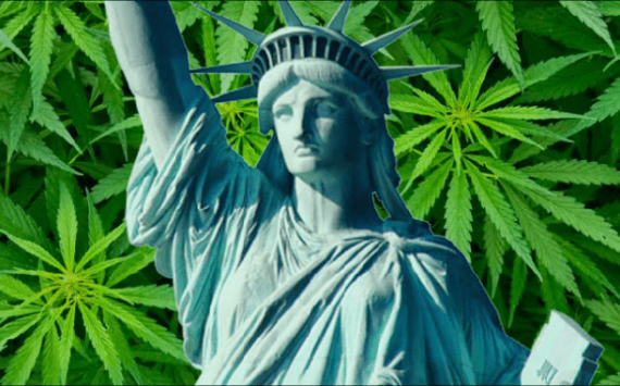 Cuomo: Marijuana to Be Finally Decriminalized in New York This Year