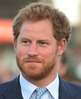 Prince Harry, Duke of Sussex, 2, 59, 1, 0, 0